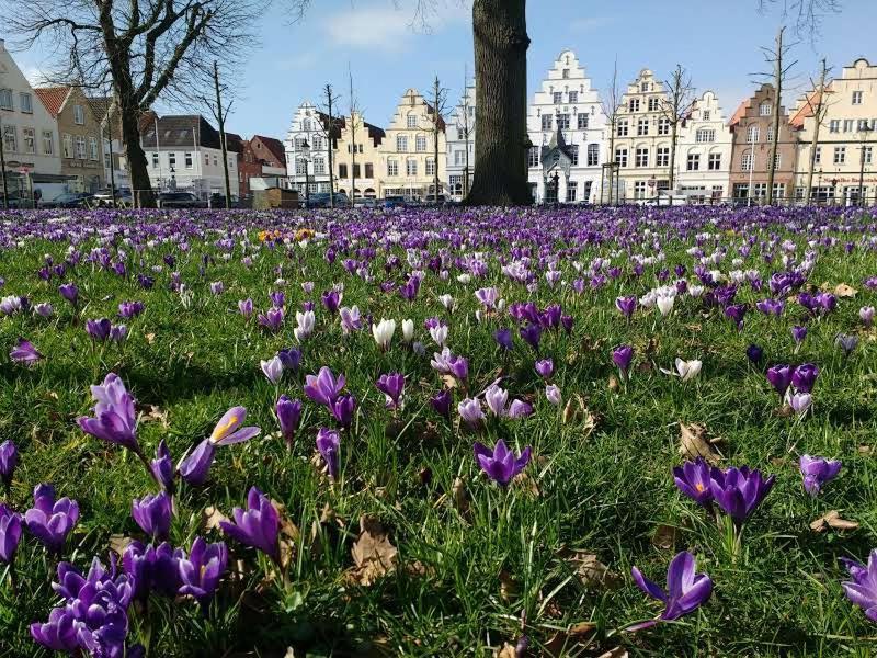 Jugendherberge Friedrichstadt Zewnętrze zdjęcie